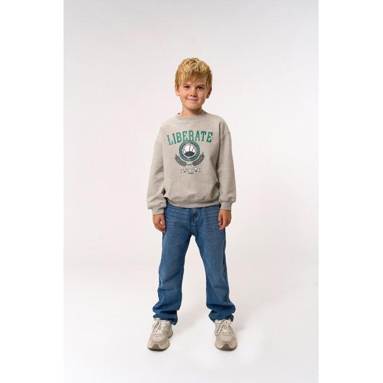 The New The New sweatshirt kind Penno Sweatshirt Light Grey Melange (lichtgrijs gemêleerd)