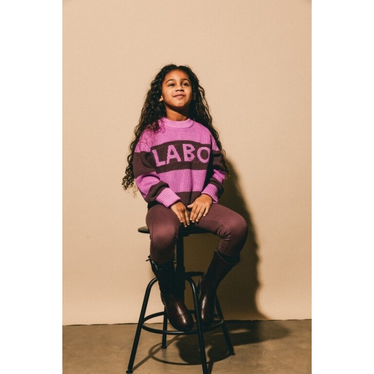Labo de Colores Rhone | Knitted sweater | Pink stripe AOP