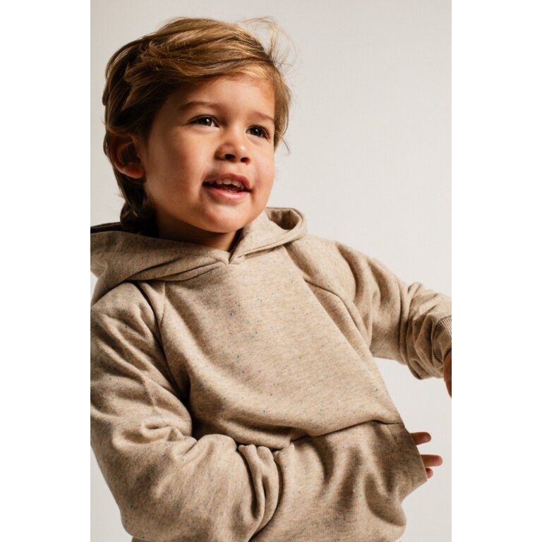 Baje Studio Prez | Hoodie | Sand melange multicolor