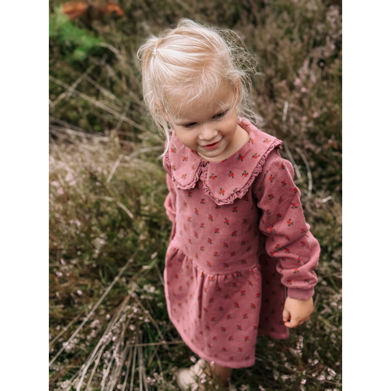 EMILE & IDA Jurk Emile et Ida | Robe Molleton Imprimee