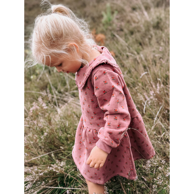 EMILE & IDA Jurk Emile et Ida | Robe Molleton Imprimee