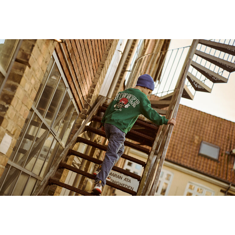 The New The New |  Paul Sweatshirt |  Alpine Green