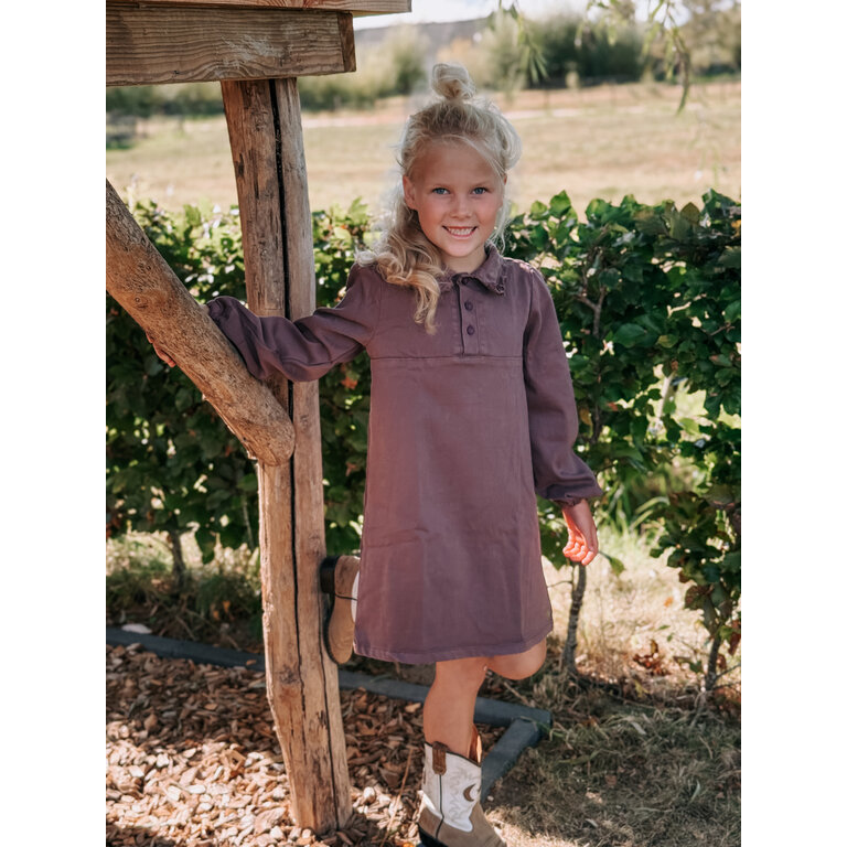 Levv Dress | Vada | Pink Red
