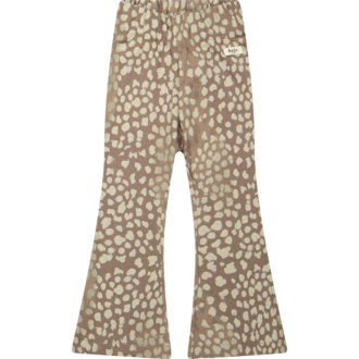 Baje Studio Preda | Flared | Sand Desert