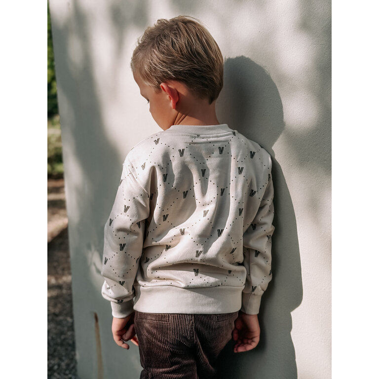 Levv LEVV sweater jongen Varick sweater White Graphic wit met print
