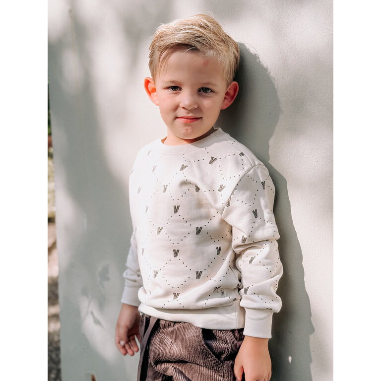 Levv LEVV sweater jongen Varick sweater White Graphic wit met print