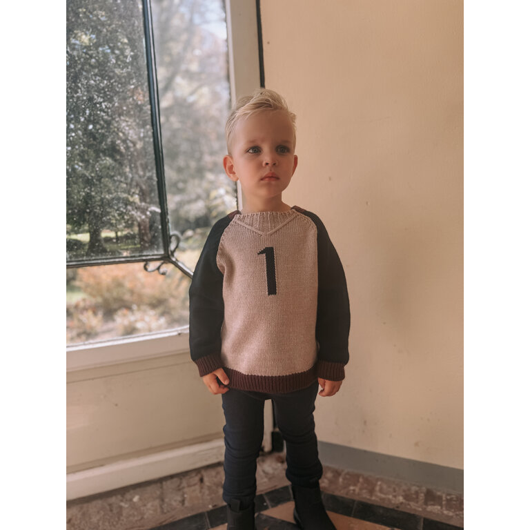 1+ in the family Patrick | Sweater | Tortora