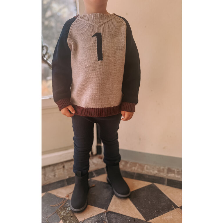 1+ in the family PATRICK trui kind Tortora bruin sweater