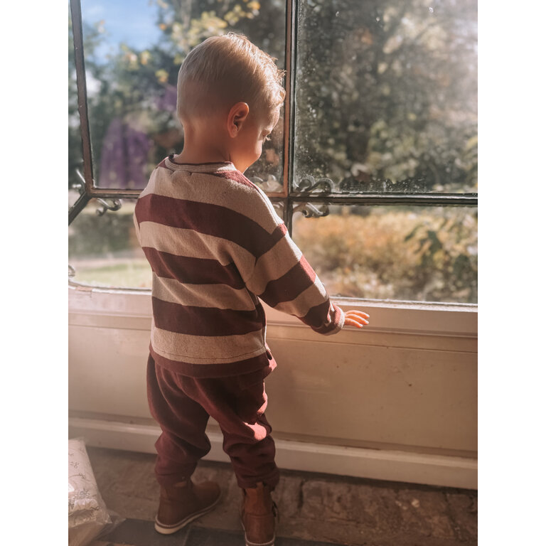 1+ in the family Knut | Sweater | Melanzana