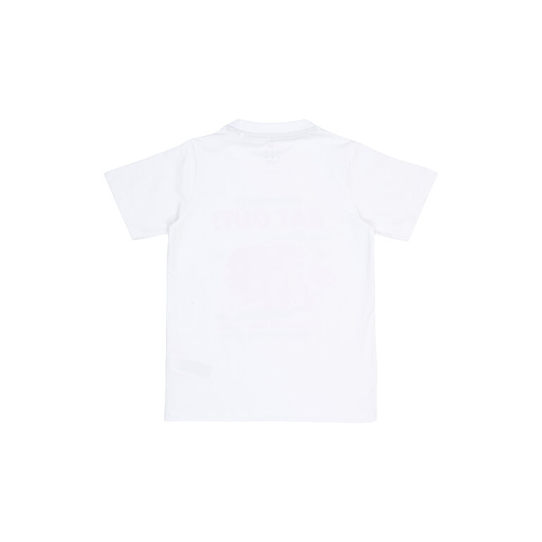 The New The New shirt kind Roger S/S Tee Bright White (wit)