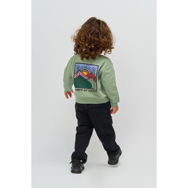 The New The New sweatshirt kind Rolando OS Sweatshirt Lily Pad (lichtgroen)