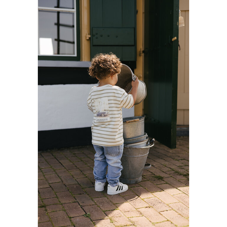 Levv LEVV shirt jongen Bas T-shirt White Stripe wit gestreept