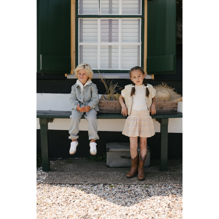 Levv Levv | Rok gestreept | AOP Purple Stripe