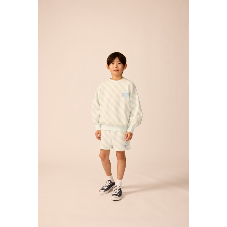 The Sunday Collective The Sunday Collective sweatshirt kind Organic Weekend Sweatshirt Sky Blue Stripe lichtblauw gestreept