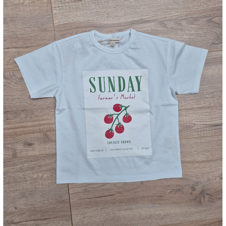 The Sunday Collective The Sunday Collective T-shirt kind Organic Weekend Tee Sky Blue lichtblauw