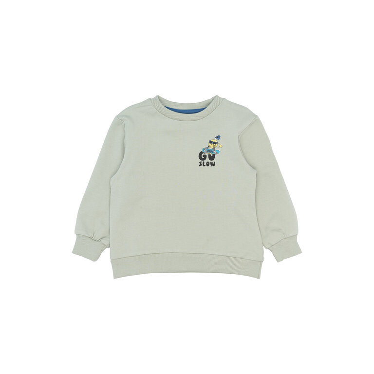 The New The New sweatshirt kind Stan Aqua Gray (aqua grijs)