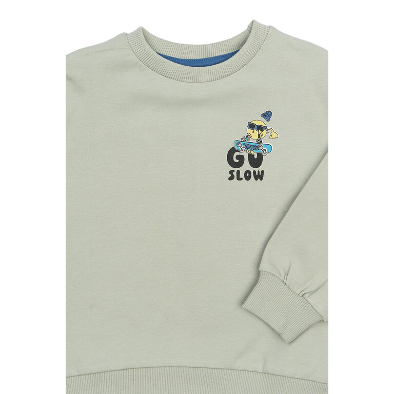 The New The New sweatshirt kind Stan Aqua Gray (aqua grijs)