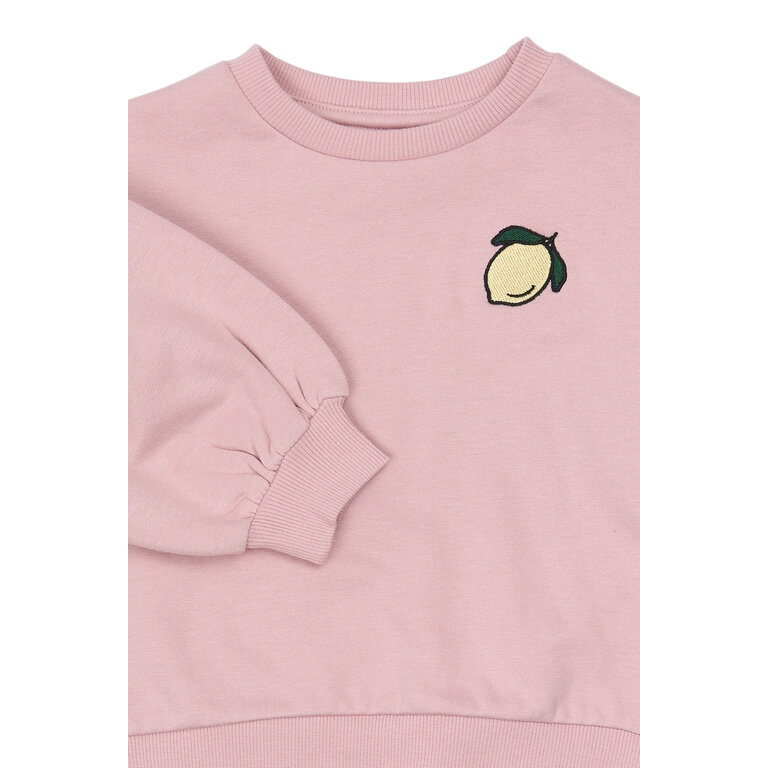 The New The New sweatshirt kind Sapphire Silver Pink (roze)