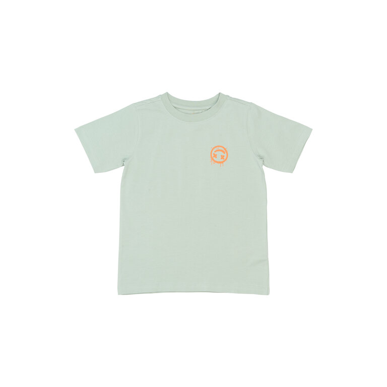 The New The New shirt kind Sander Tee Aqua Grey (aqua grijs)