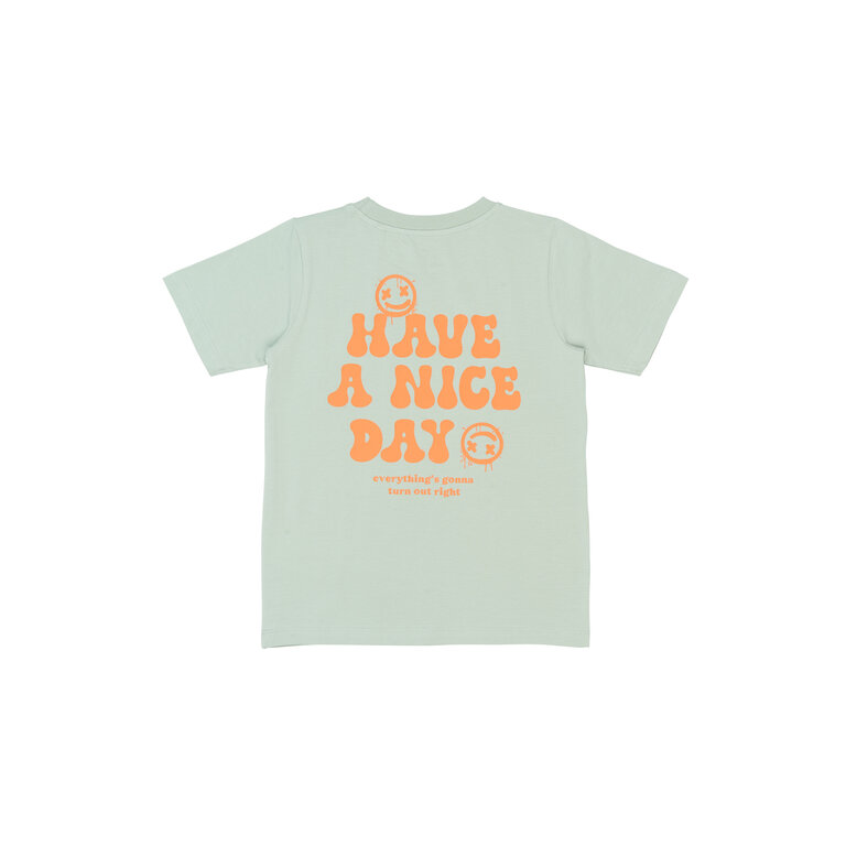 The New The New shirt kind Sander Tee Aqua Grey (aqua grijs)