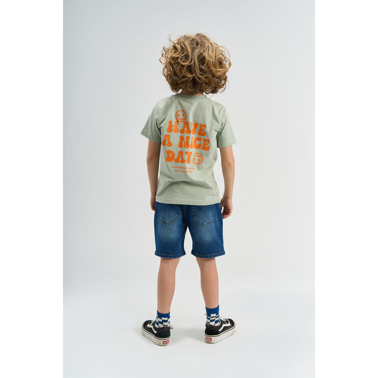 The New The New shirt kind Sander Tee Aqua Grey (aqua grijs)