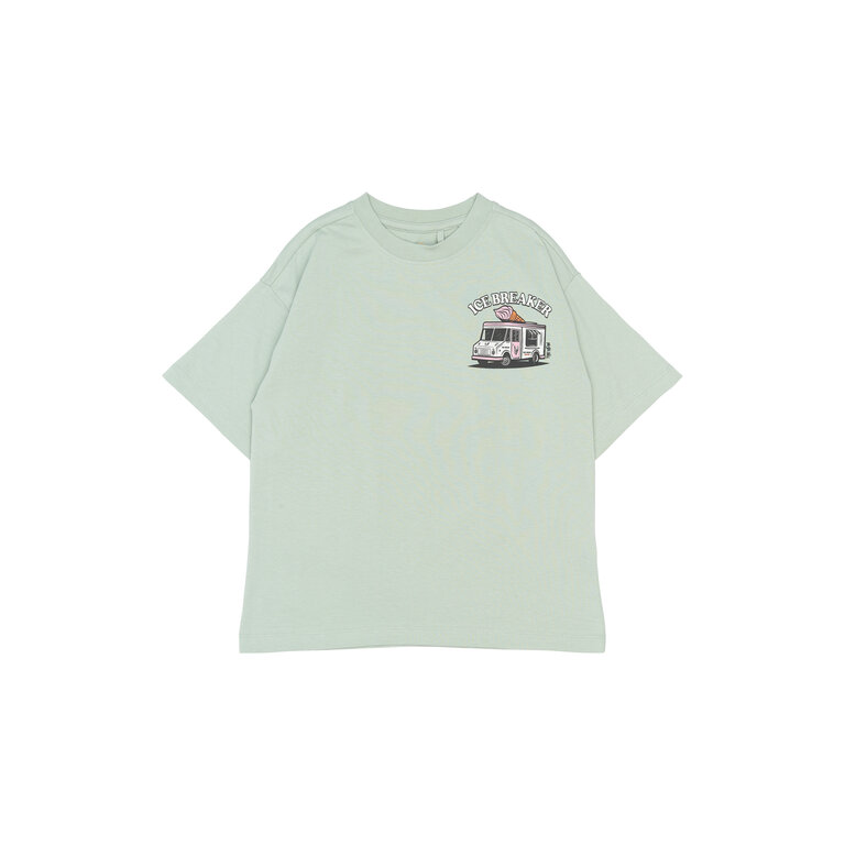The New The New shirt kind Stefano Tee Aqua Grey (aqua grijs)