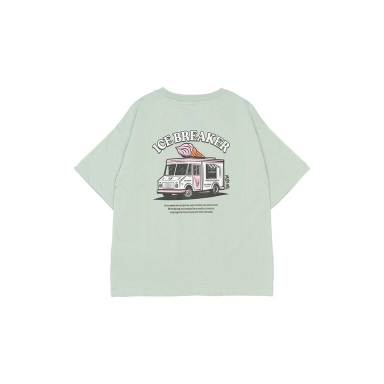 The New The New shirt kind Stefano Tee Aqua Grey (aqua grijs)