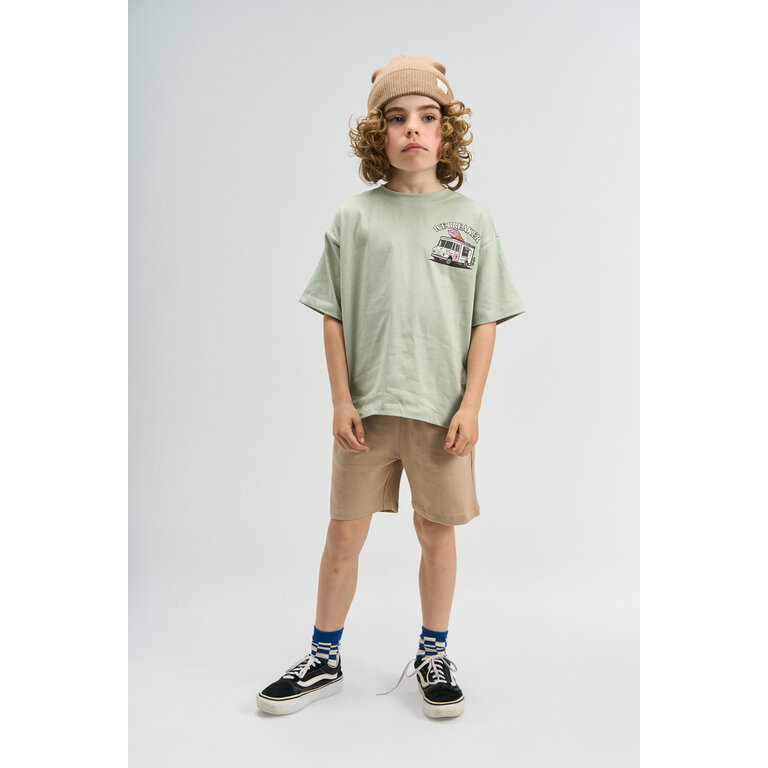 The New The New shirt kind Stefano Tee Aqua Grey (aqua grijs)