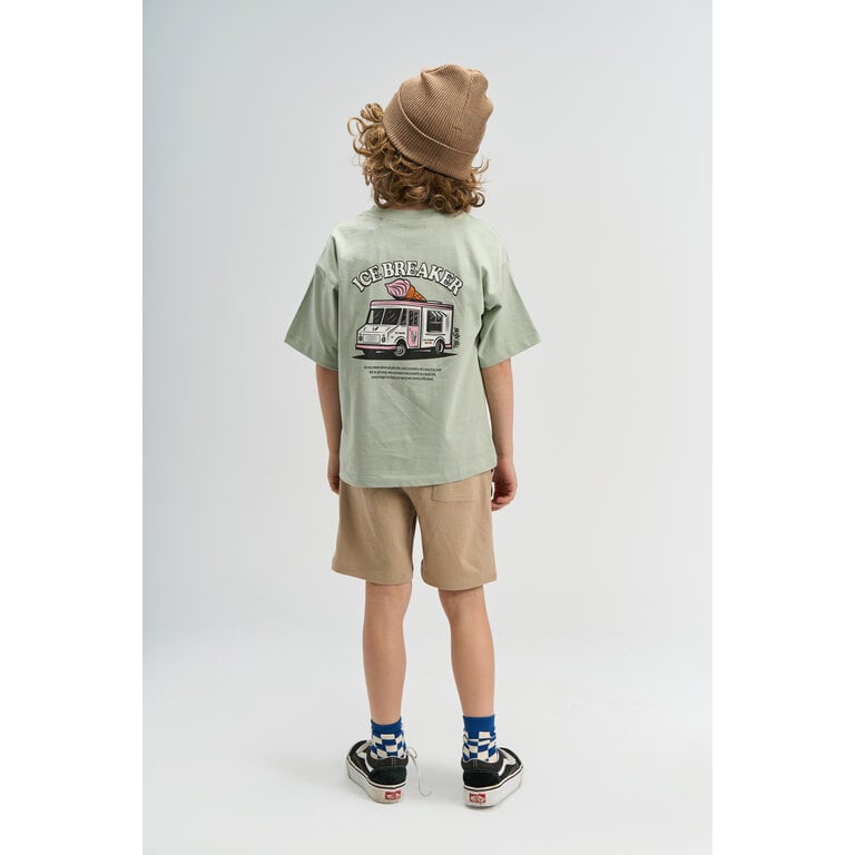 The New The New shirt kind Stefano Tee Aqua Grey (aqua grijs)