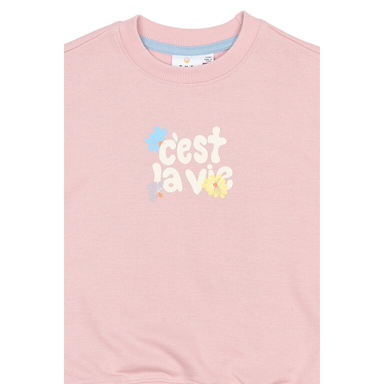 The New The New sweatshirt kind Sandy Silver Pink (zilver roze)