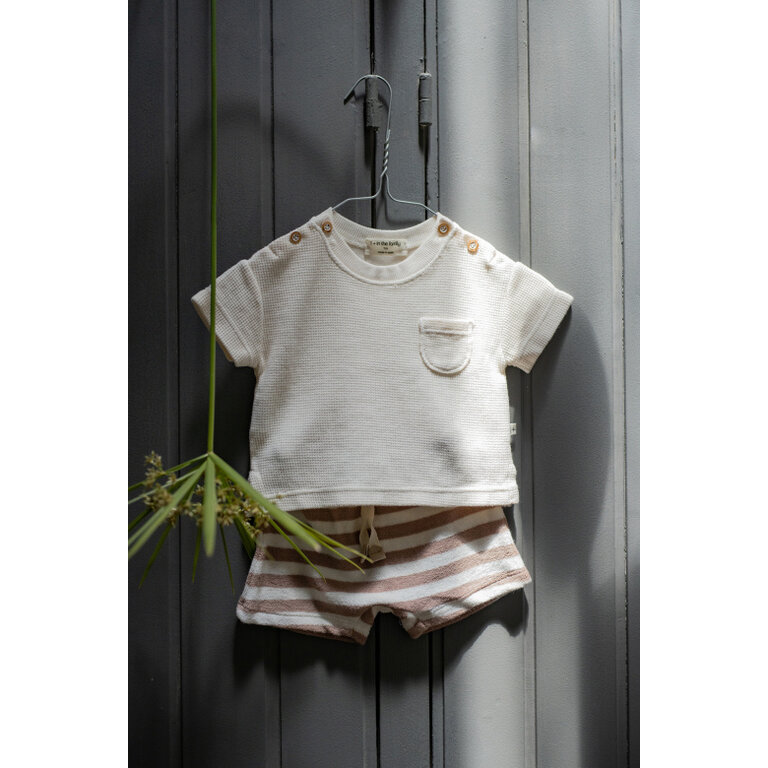1+ in the family 1+ IN THE FAMILY korte broek baby Feres taupe bruin