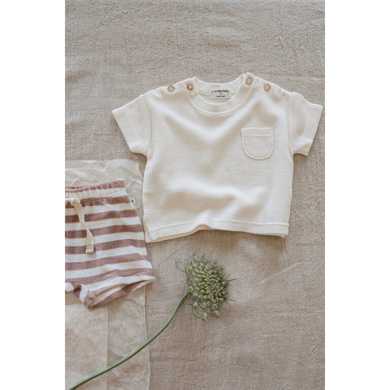 1+ in the family 1+ IN THE FAMILY korte broek baby Feres taupe bruin