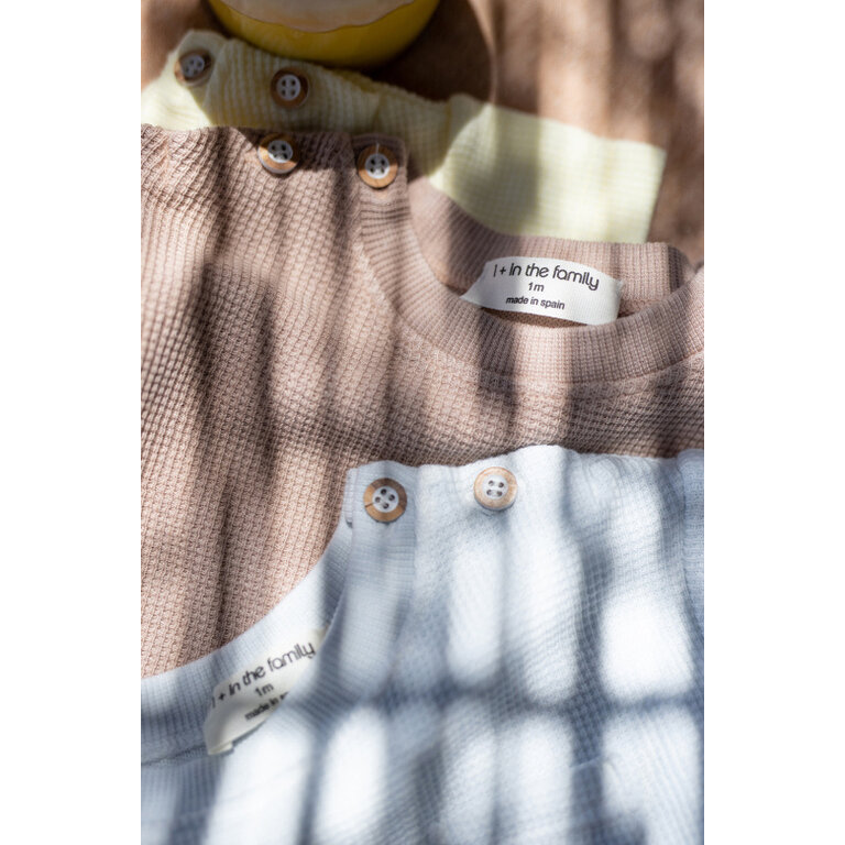 1+ in the family 1+ in the family | Delion | Shirts | Misty Blue