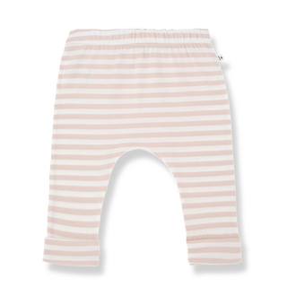 1+ in the family Saul | Legging | Blossom