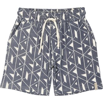 Levv Shorts Brady | AOP Blue Graphic