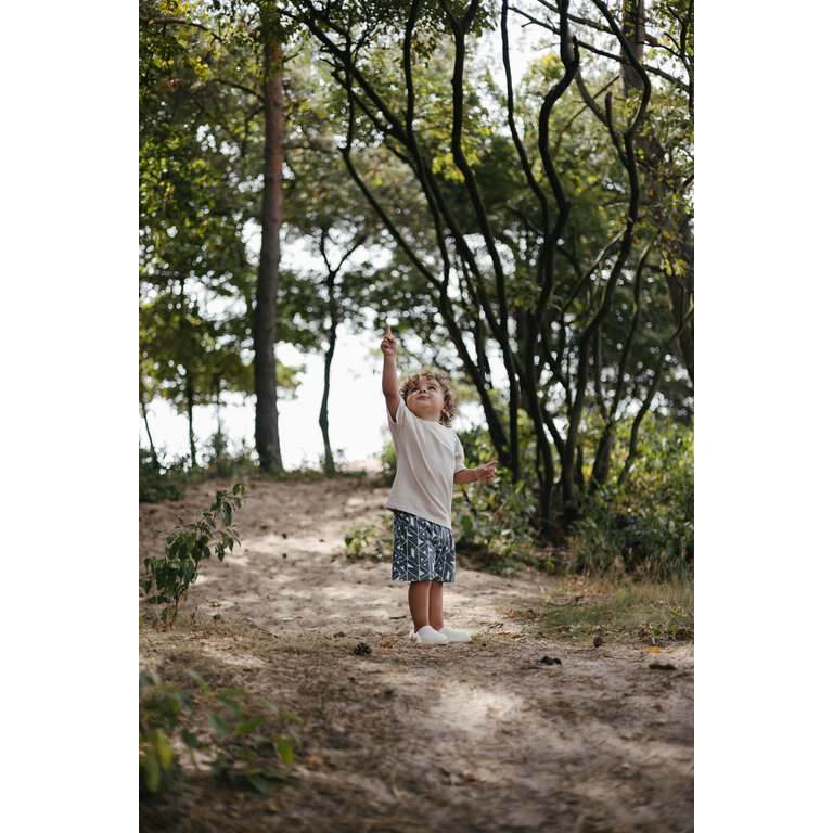 Levv Levv | Shorts Brady | AOP Blue Graphic