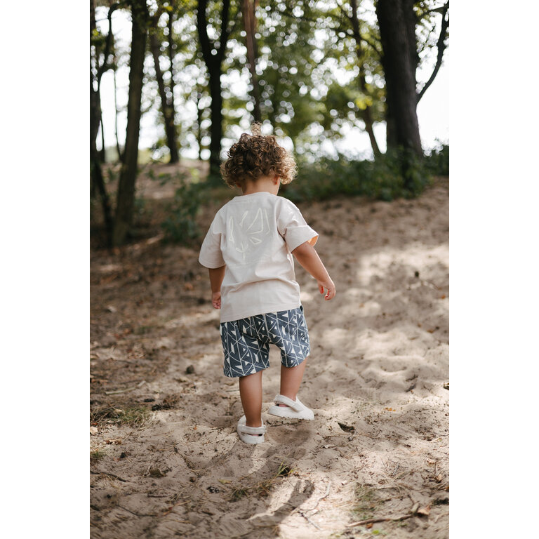 Levv Levv | Shorts Brady | AOP Blue Graphic