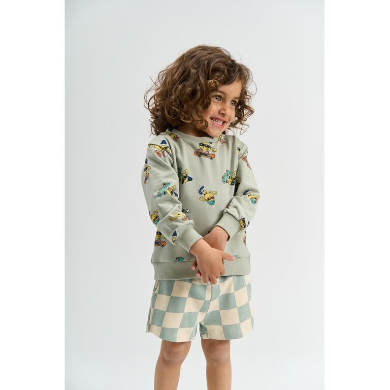 The New The New korte broek kind Sebastian (aqua grijs met print)