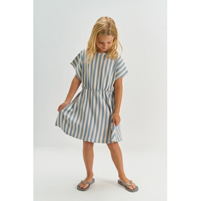 The New The New jurkje meisje De Talia Dress Forever Blue Striped  (blauw gestreept)