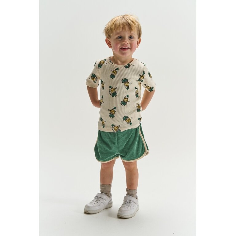 The New The New korte broek jongen Terry Shorts Posy Green (groen)