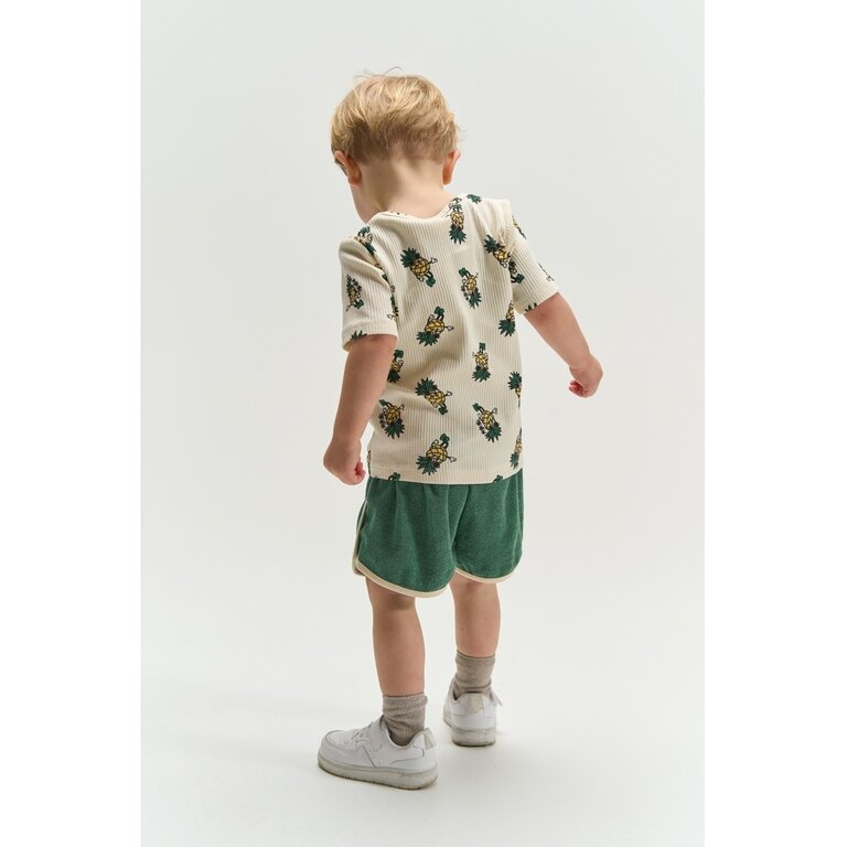The New The New korte broek jongen Terry Shorts Posy Green (groen)