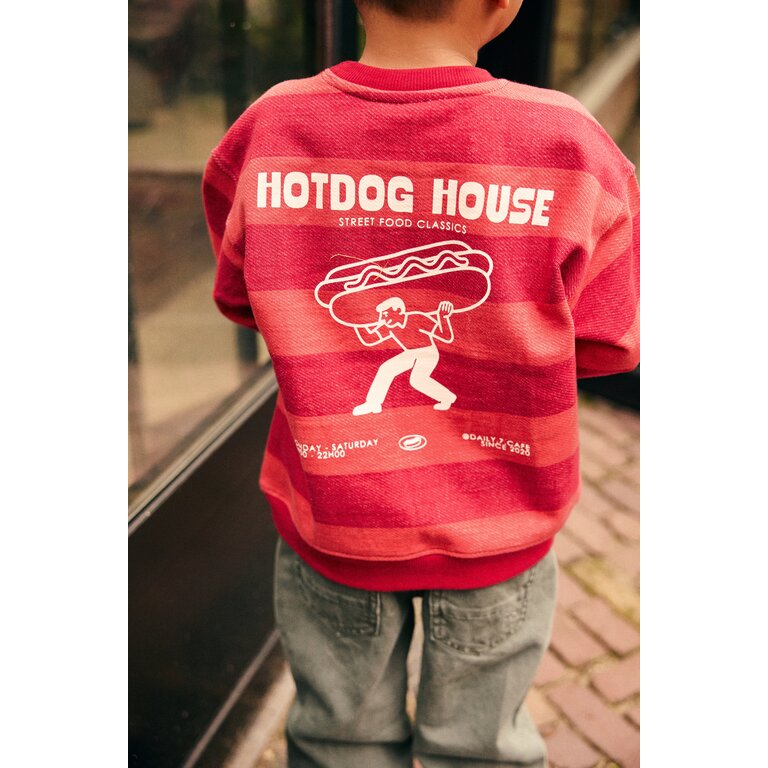 Daily7 Daily7 oversized sweater jongen Big Stripe Rythmic Red (rood gestreept)