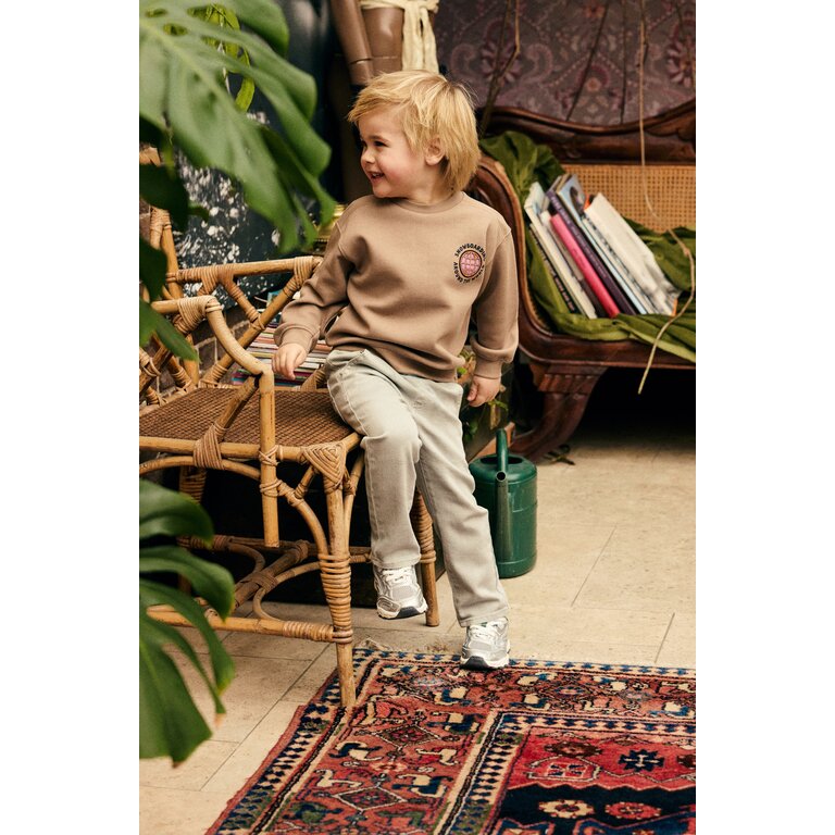 Daily7 Daily7 oversized sweater jongen Backprint Plaza Taupe (taupe)