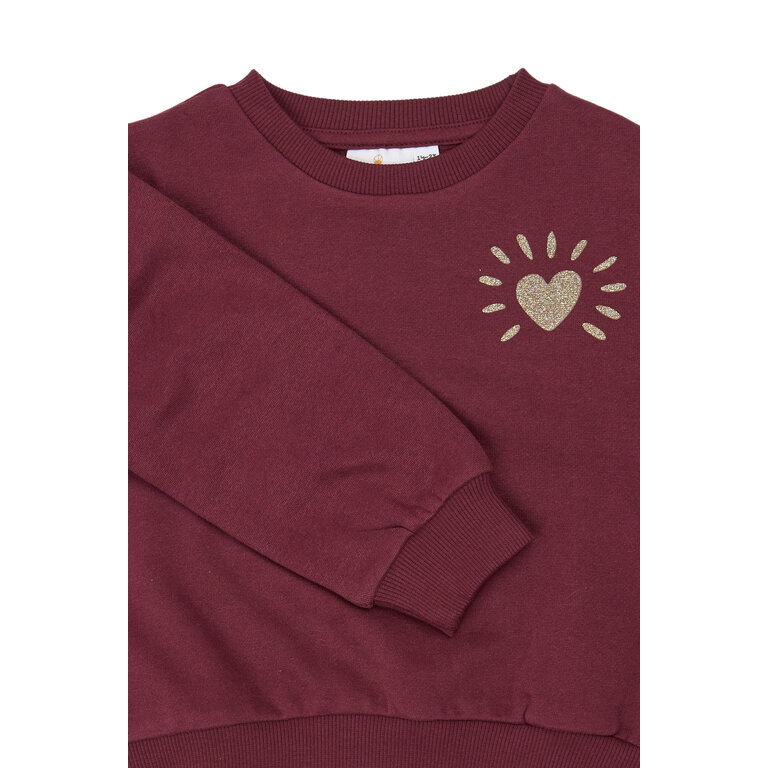 The New THE NEW sweater meisje Verona Burgundy (bordeaux)