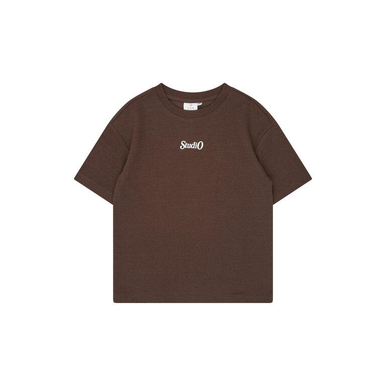 The New THE NEW T-shirt jongen Varl OS Chestnut (kastanjebruin)