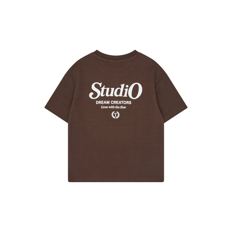 The New THE NEW T-shirt jongen Varl OS Chestnut (kastanjebruin)