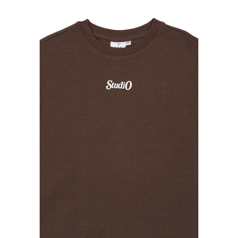 The New THE NEW T-shirt jongen Varl OS Chestnut (kastanjebruin)