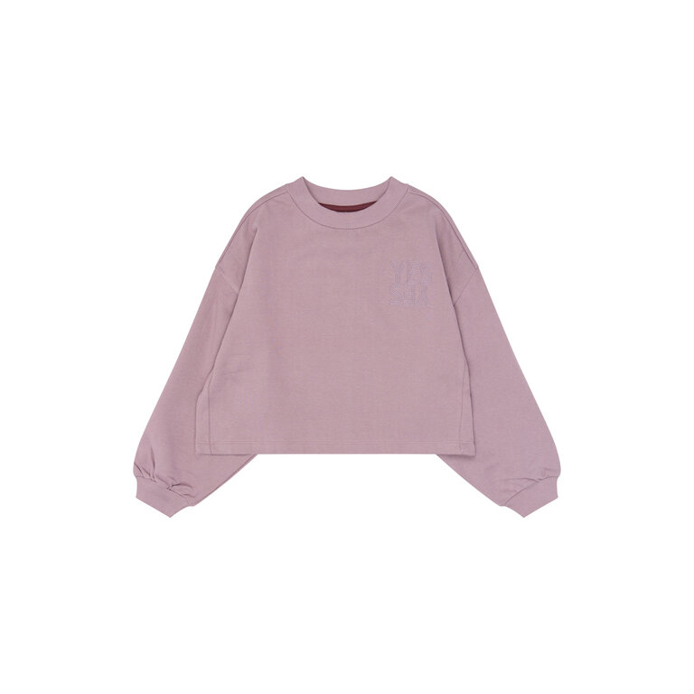 The New THE NEW sweater meisje Venus Elderberry (oudroze)