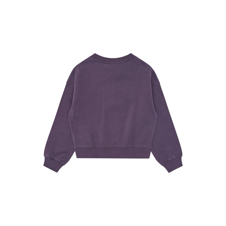 The New THE NEW sweater meisje Velva Sweet Grape (lila)