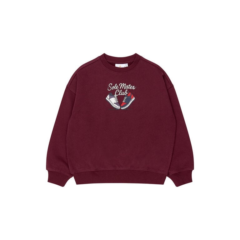 The New THE NEW sweater jongen Vitalio Burgundy (bordeaux)